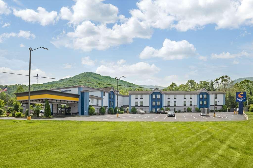 Comfort Inn Asheville East-Blue Ridge Pkwy Access Luaran gambar