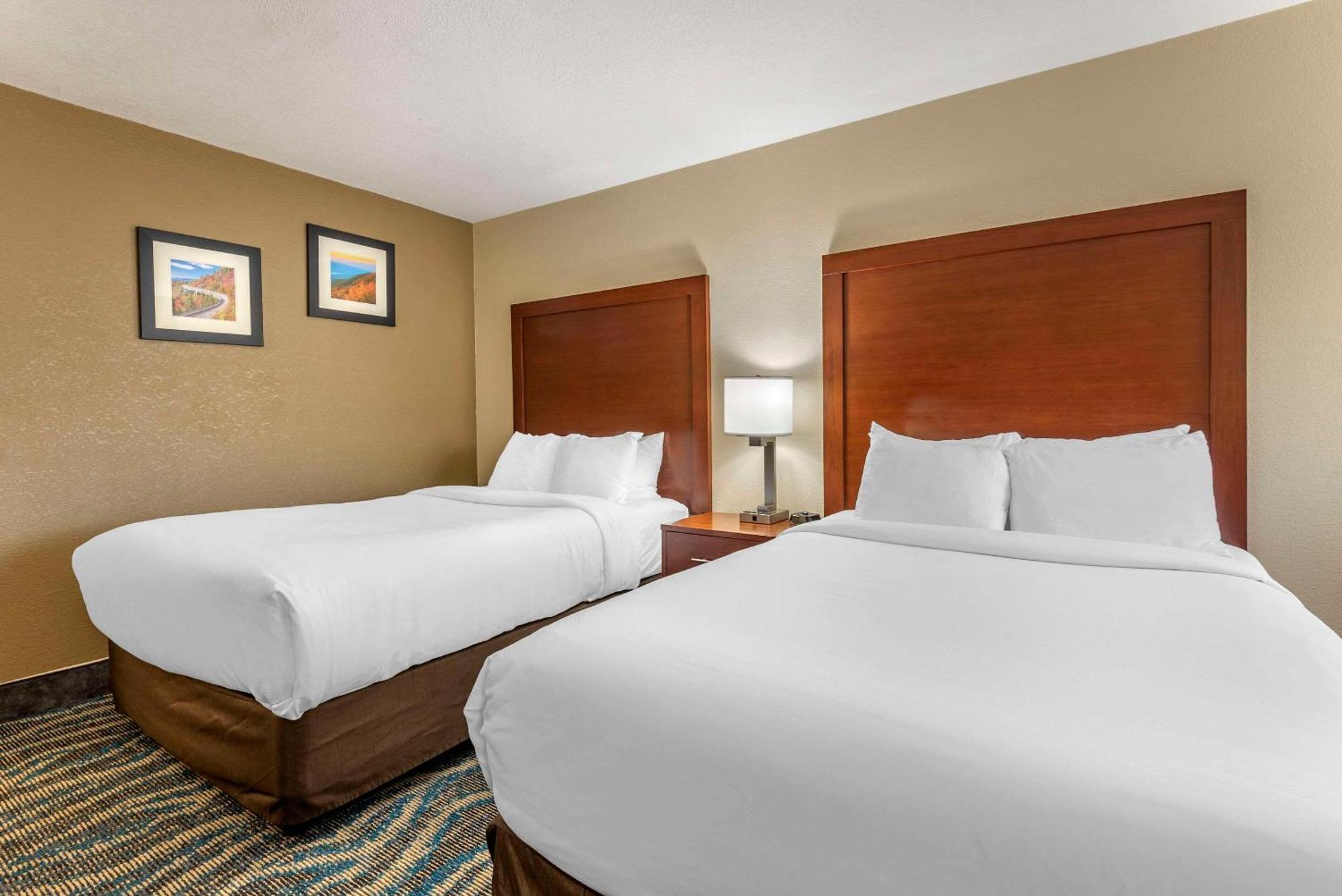 Comfort Inn Asheville East-Blue Ridge Pkwy Access Luaran gambar